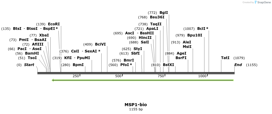 124184_map