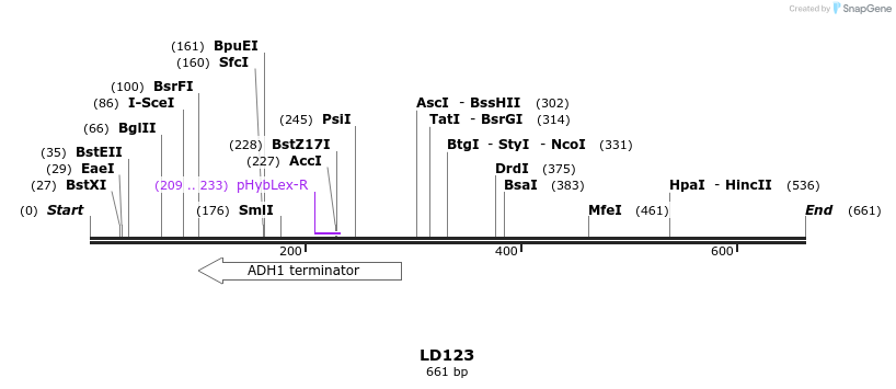 124186_map