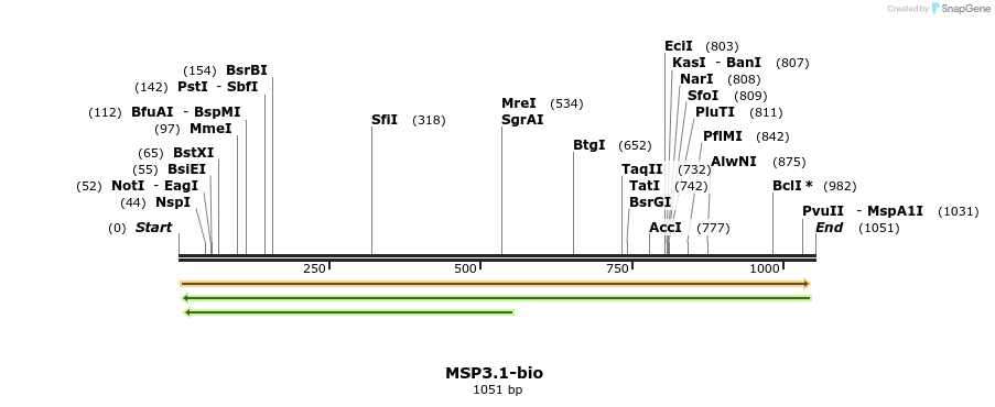 124187_map