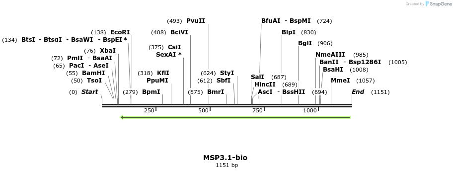 124188_map