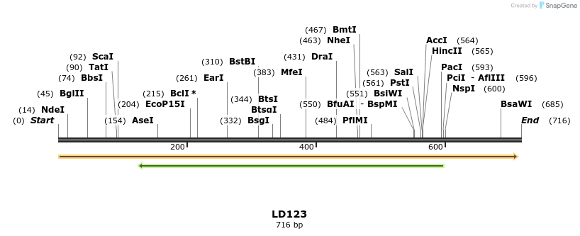 124189_map