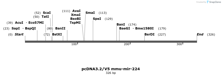 12419_map