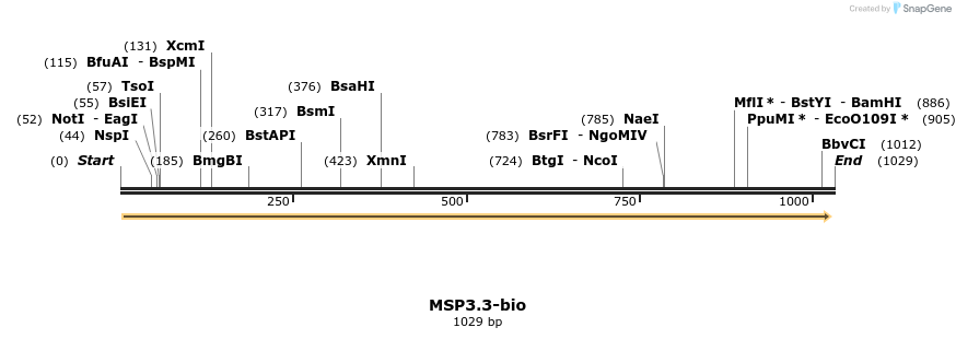 124190_map