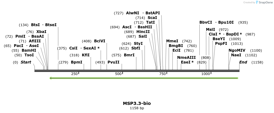 124191_map