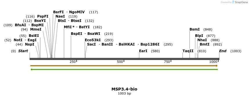 124192_map