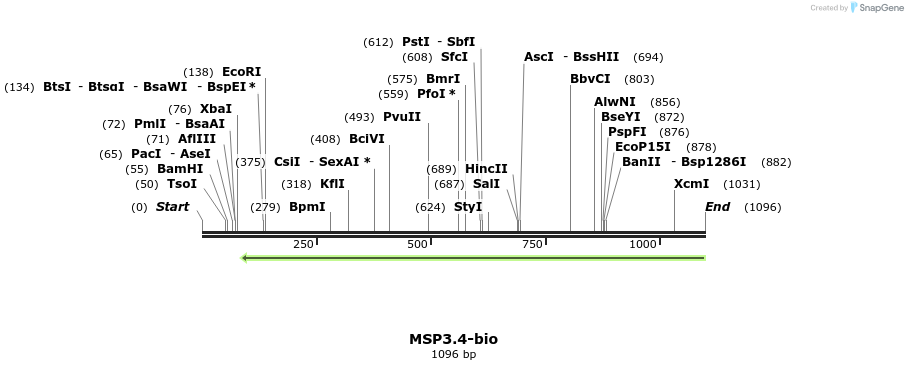 124193_map
