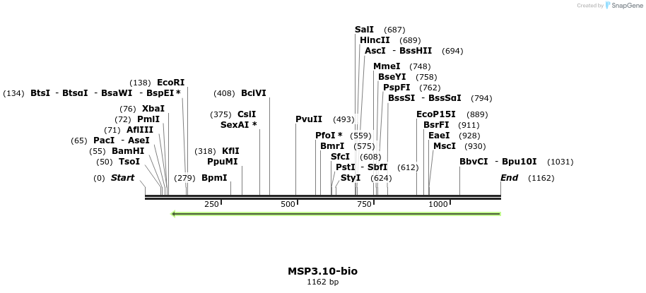 124195_map