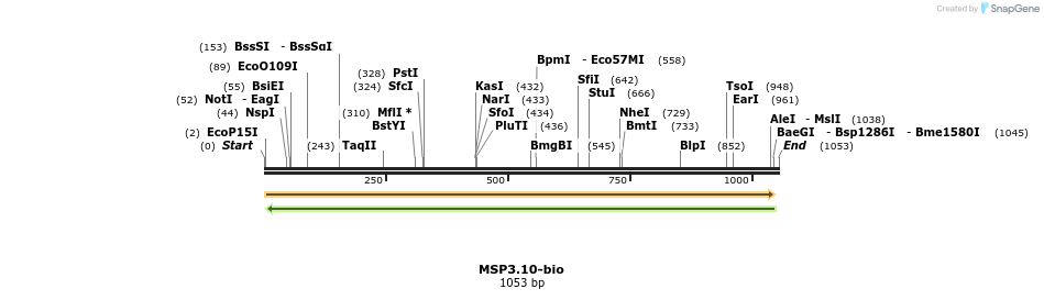 124196_map