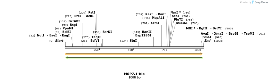 124199_map