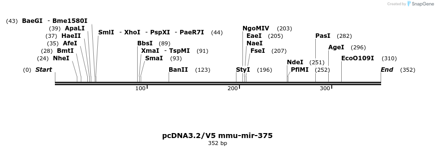 12420_map