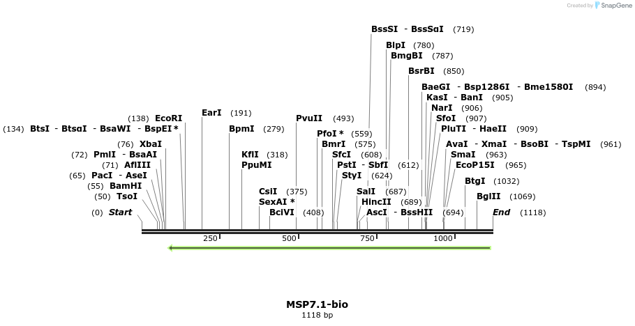 124200_map