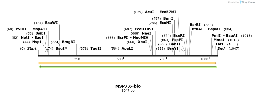 124201_map