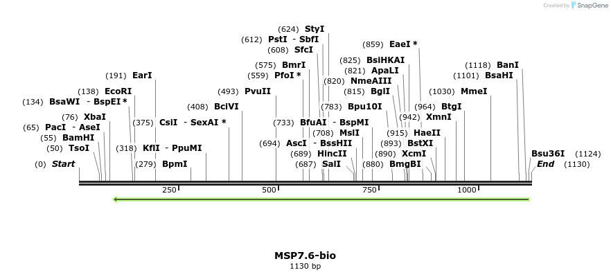 124202_map