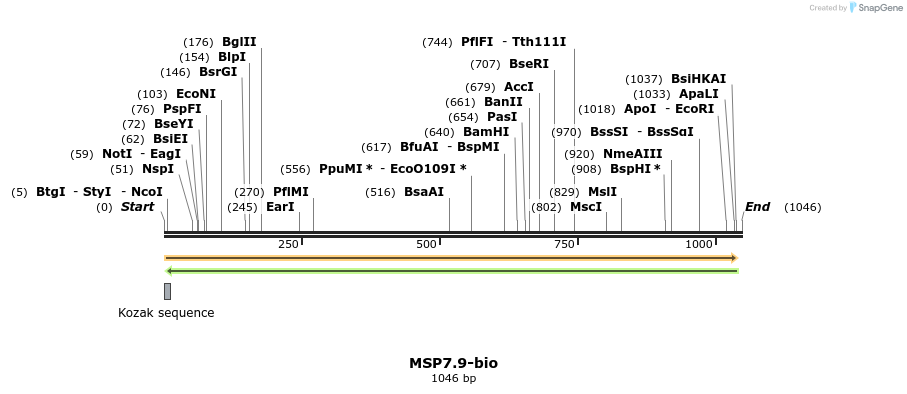 124203_map
