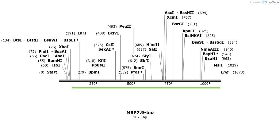 124204_map