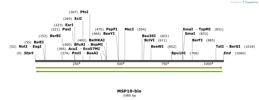 124206_map