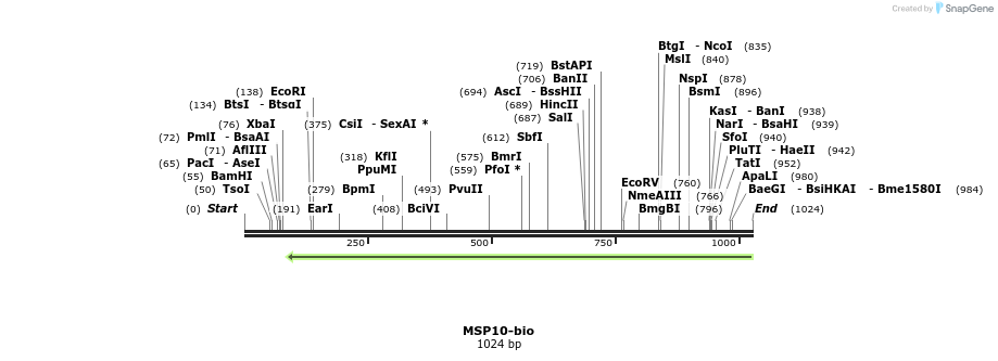 124207_map