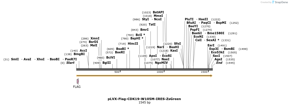 124209_map