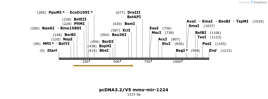 12421_map