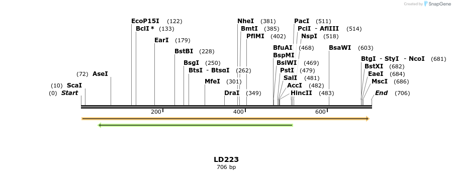 124210_map