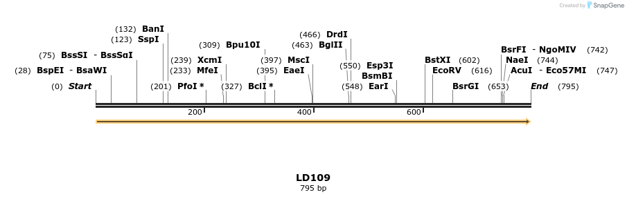124214_map