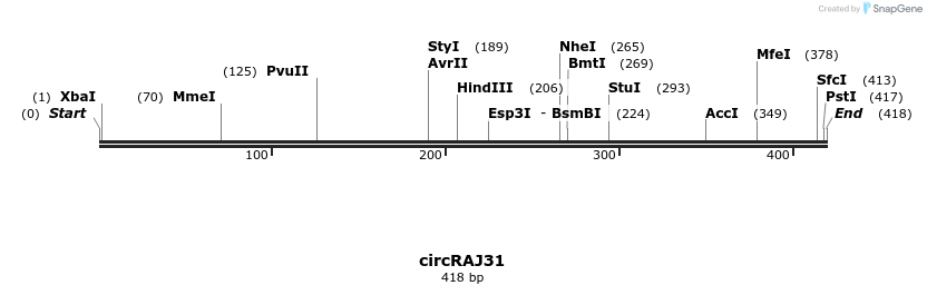124216_map