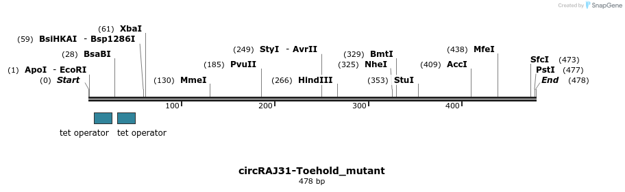 124218_map