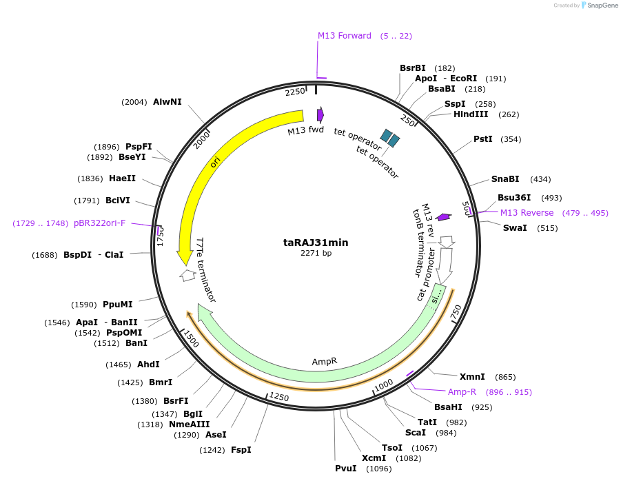 124219_map