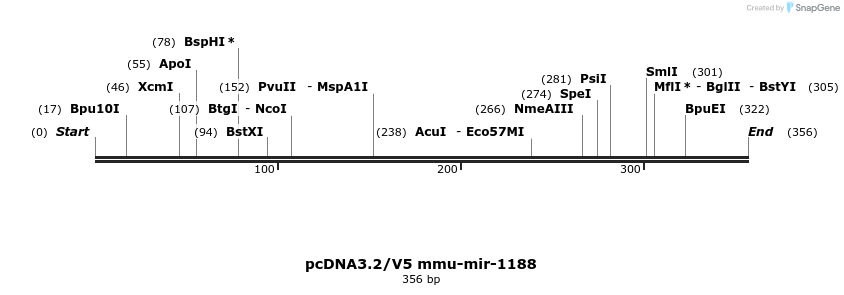 12422_map