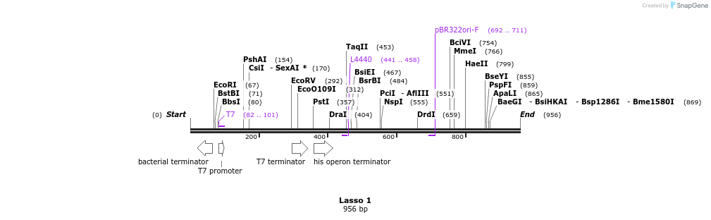124223_map