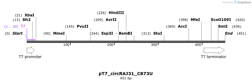 124225_map