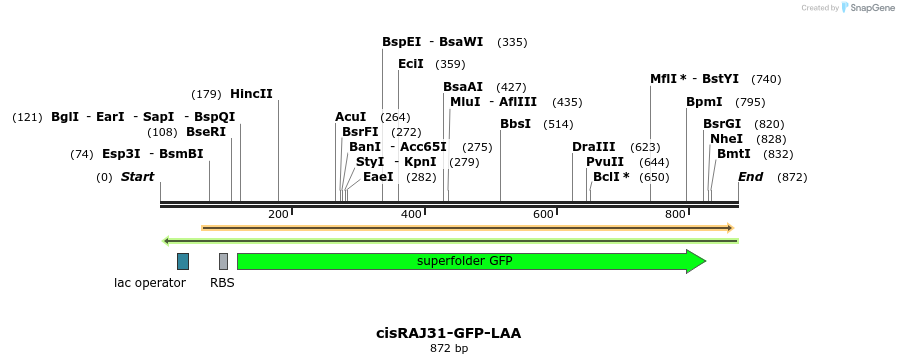 124228_map