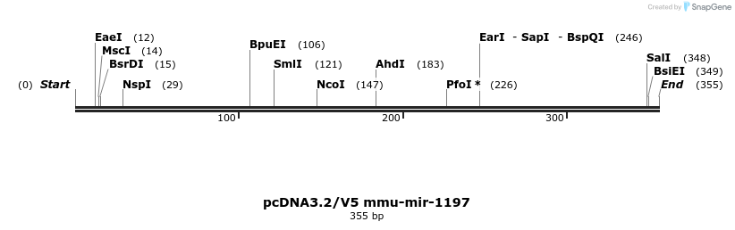 12423_map