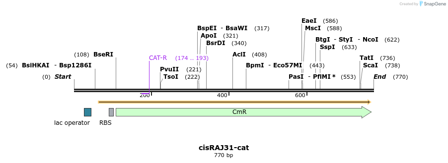 124230_map
