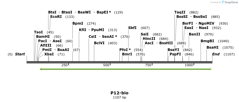 124231_map