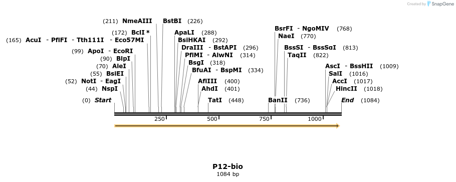 124232_map
