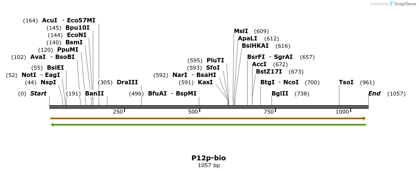 124233_map