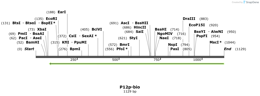 124234_map