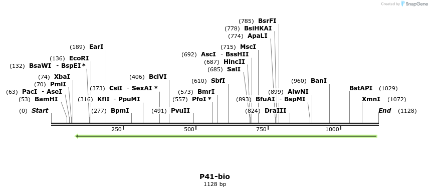 124238_map