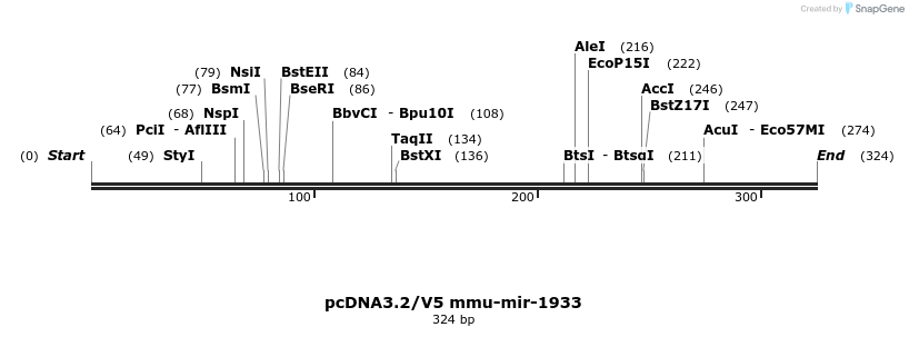 12424_map