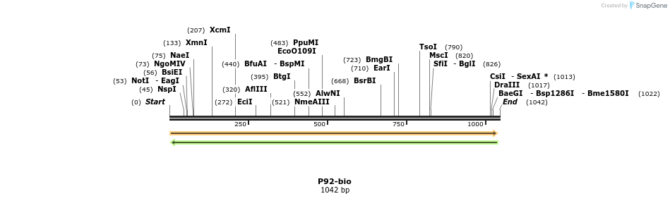124241_map