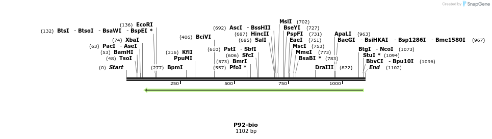 124242_map