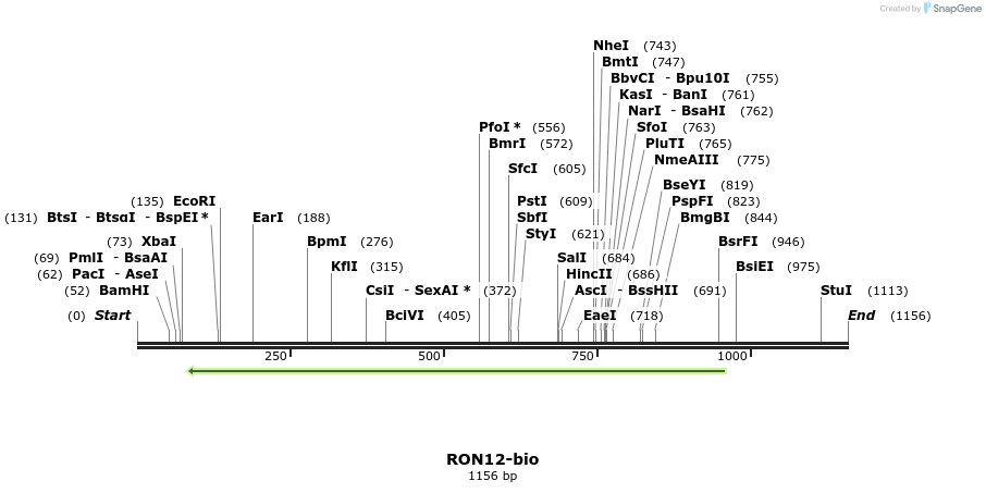124244_map