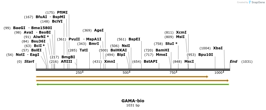 124247_map