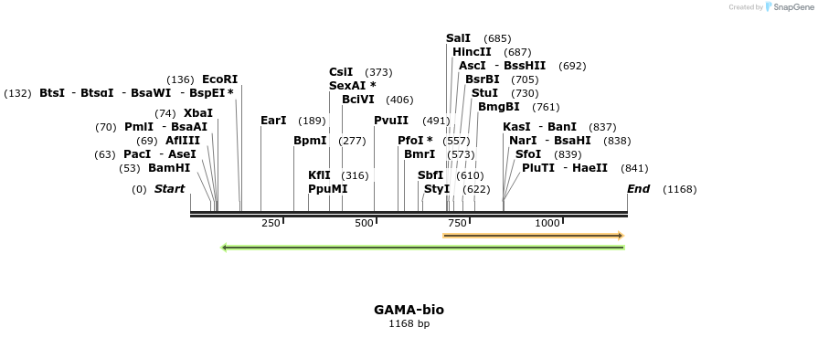 124248_map