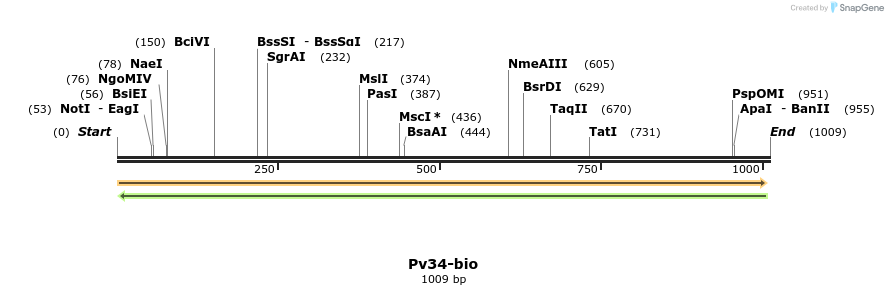 124249_map