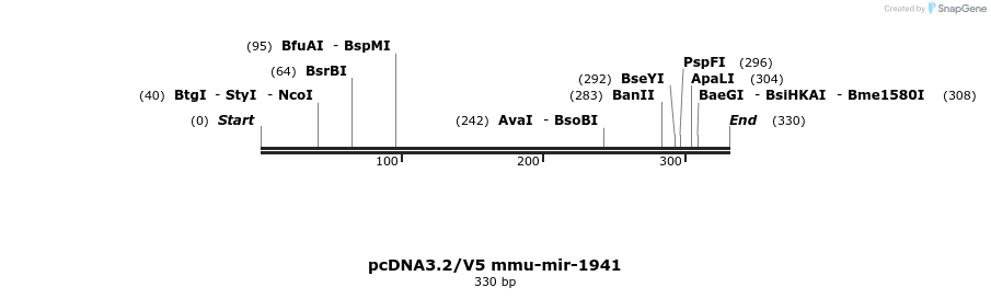 12425_map
