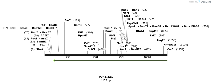 124250_map