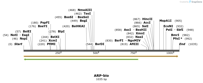 124252_map