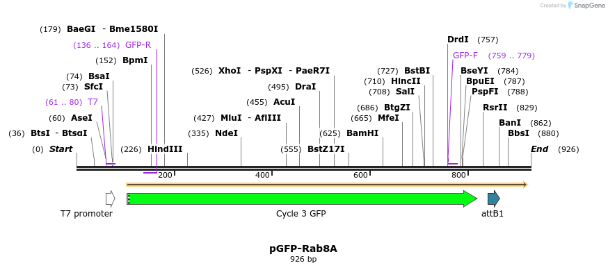 124259_map